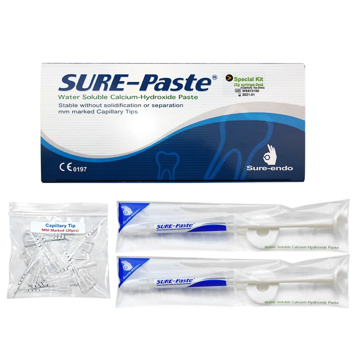 Паста для кореневих каналів Sure-Paste (Сюр Паста), шприц 2 г, 1 шт (Sure Endo)