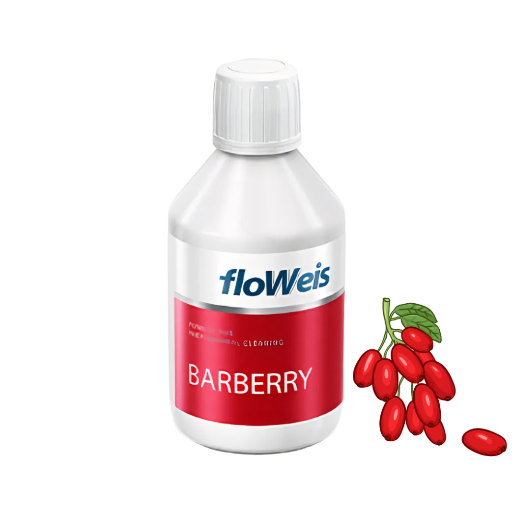Порошок-сода Floweis (Флоувейс) для Air Flow, смак барбарис, 300 г (Nanoplant Hoechst)
