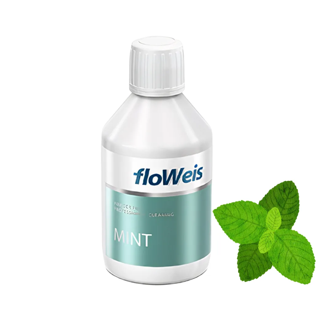 Порошок-сода Floweis (Флоувейс) для Air Flow, смак м'ята, 300 г (Nanoplant Hoechst)