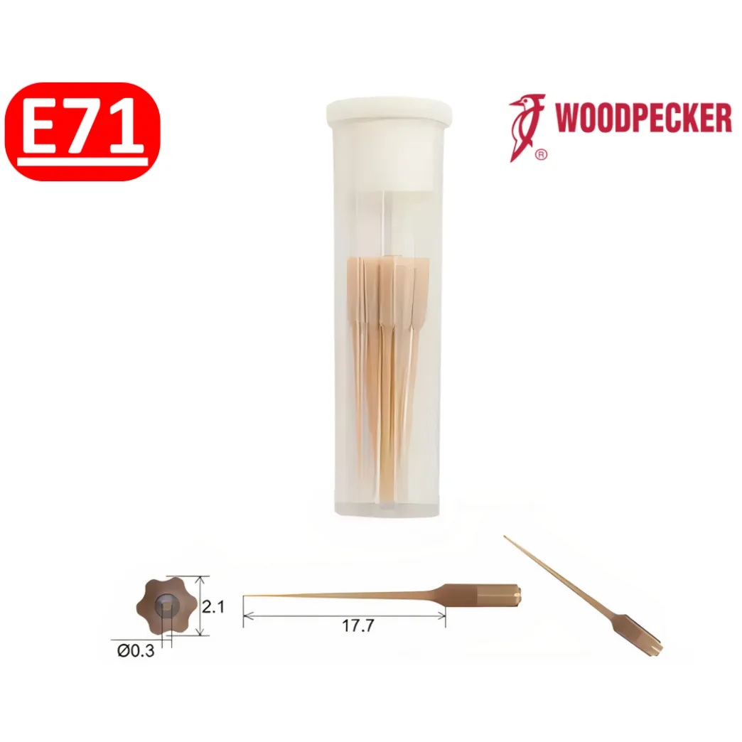 Пластикова насадка для активатора іригантів, модель E71, сумісна з E70 та EMS (Woodpecker)