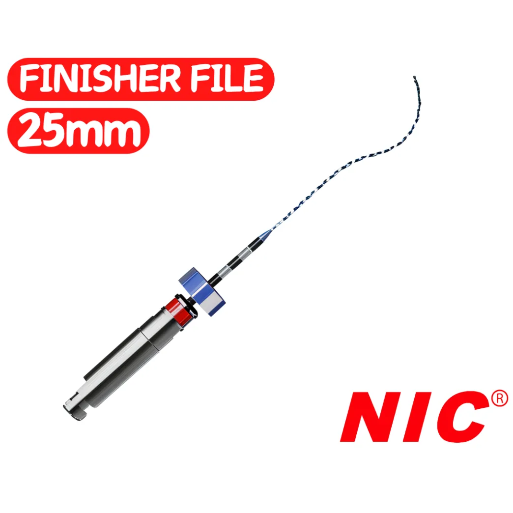 Машинний файл FSb Finisher File (NIC), розмір 25, 25 мм, 1 шт.
